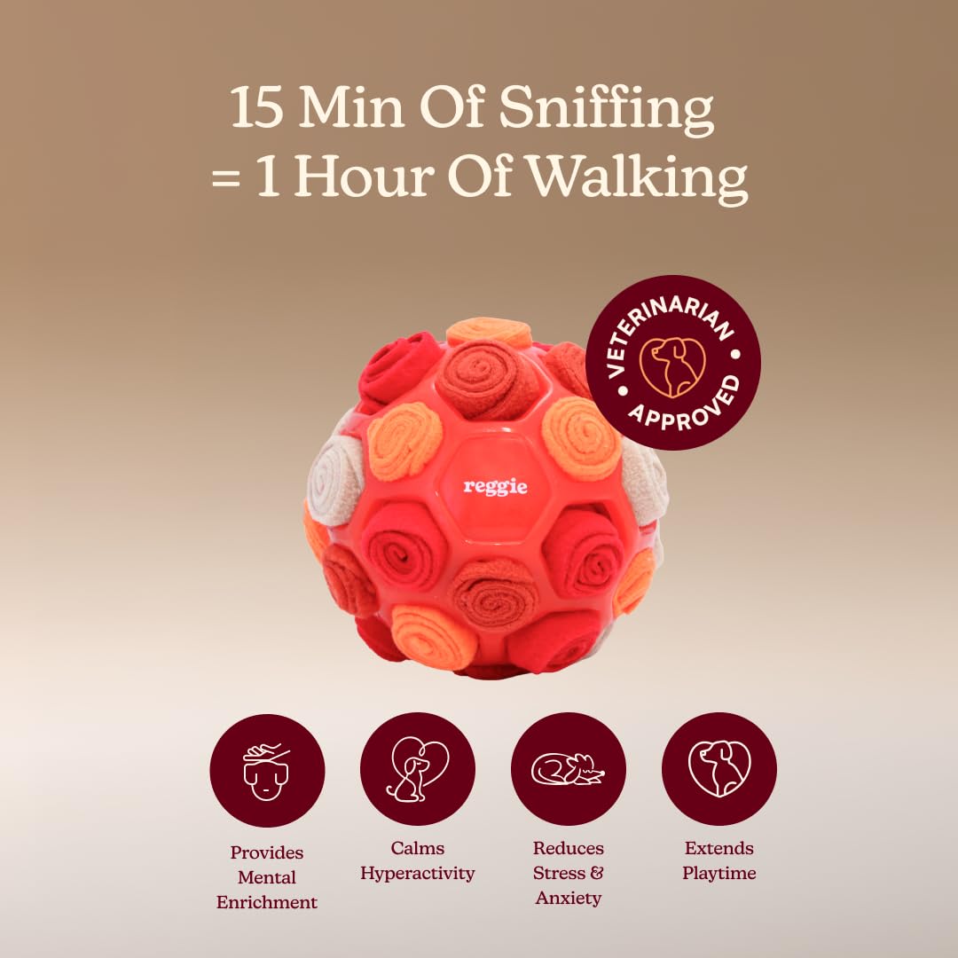 Snuffle Ball for Dogs (Forager Ball - Red)
