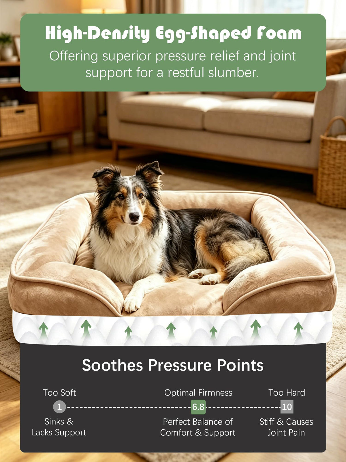Orthopedic Dog Bed with Sides (38.0"L x 28.0"W x 6.5"Th / Brown)