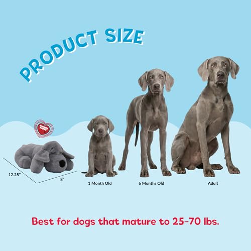 Snuggle Puppy Heartbeat Toy (Grey / 1 Count (Pack of 1))