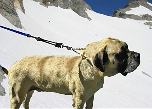 BUNGEE DOG LEASH EXTENSION (Large (up to 110 pounds) / Red)