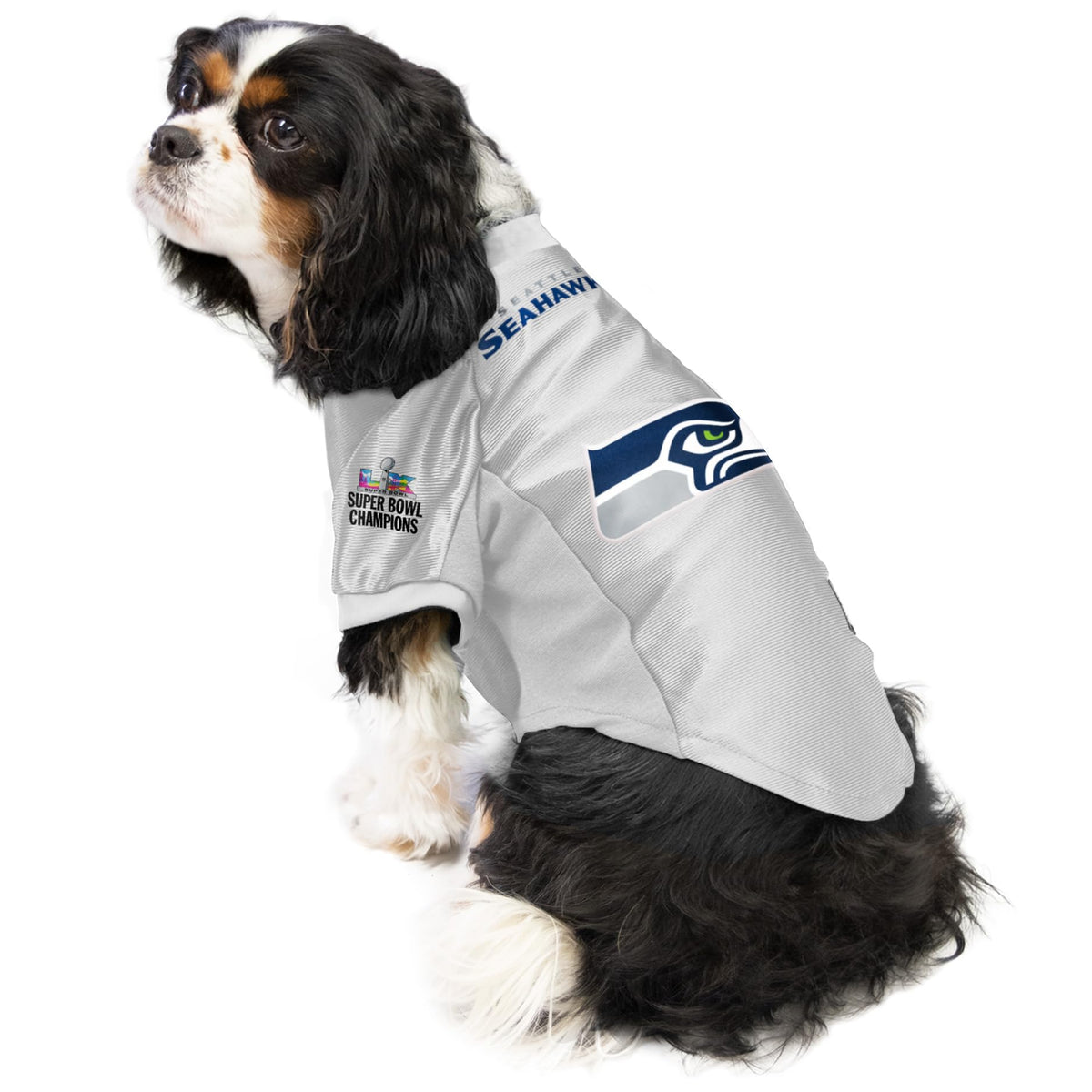 NFL Super Bowl LX Champion Seattle Seahawks (Seattle Seahawks-Super Bowl Champ / Medium)