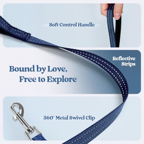 Dog Harness Medium Sized and Leash Set (Navy Lemon / M (chest: 16 - 18.5"))