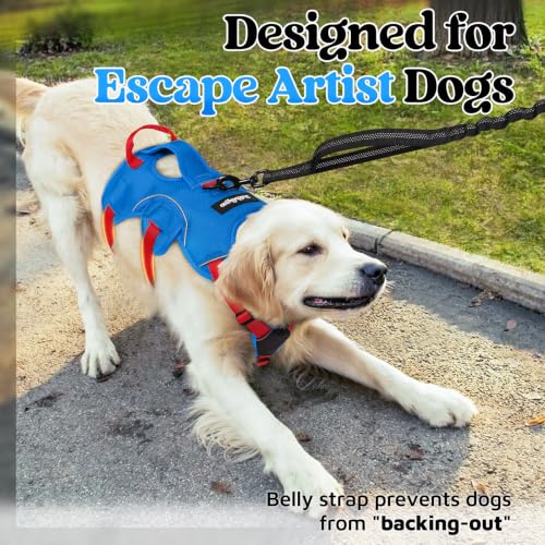 Escape Proof Dog Harness for X (Red & Blue / X-Large)