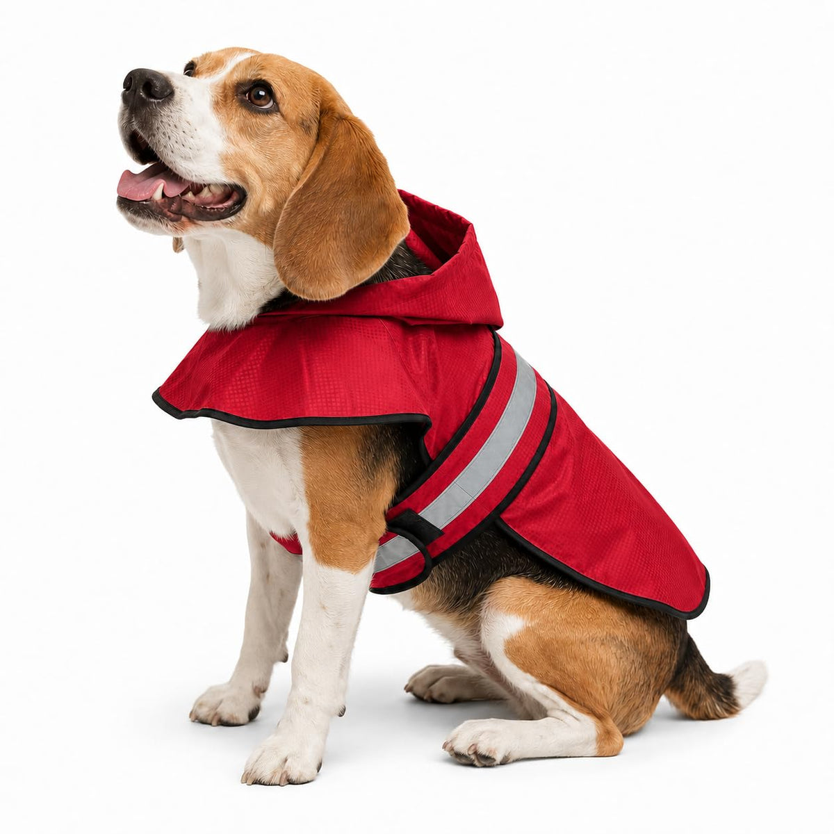 Dogg Toggs Raincoat (Red / Small)