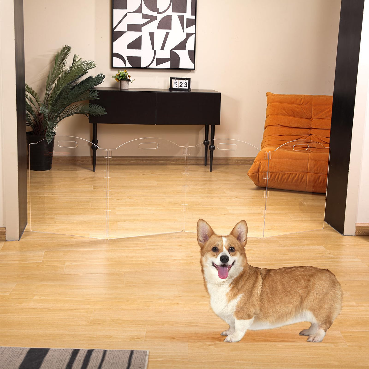 Clear Acrylic Freestanding Dog Gates for the House (4 Panel - 80''W x 24''H)