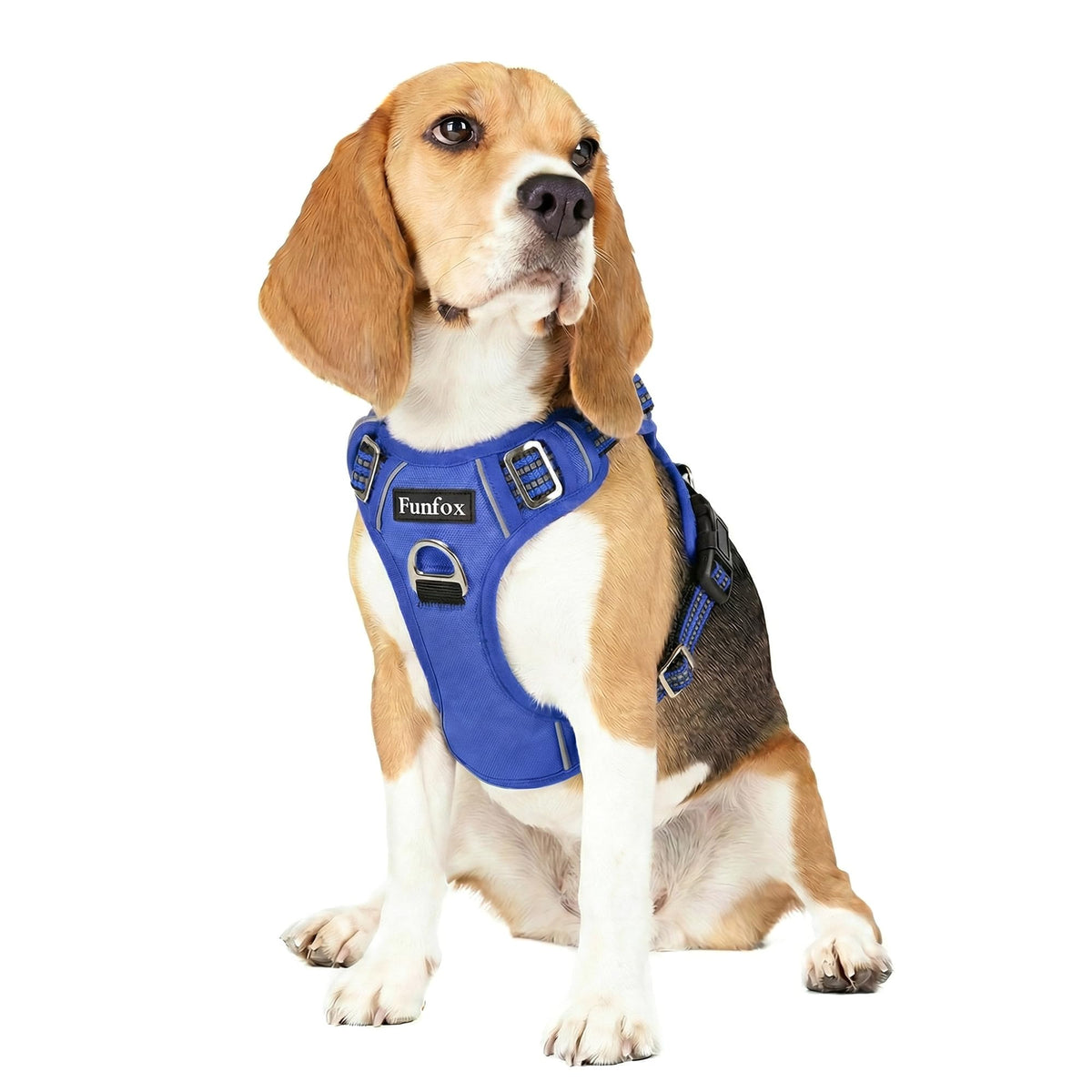 Dog Harness No Pull (Blue / Medium)