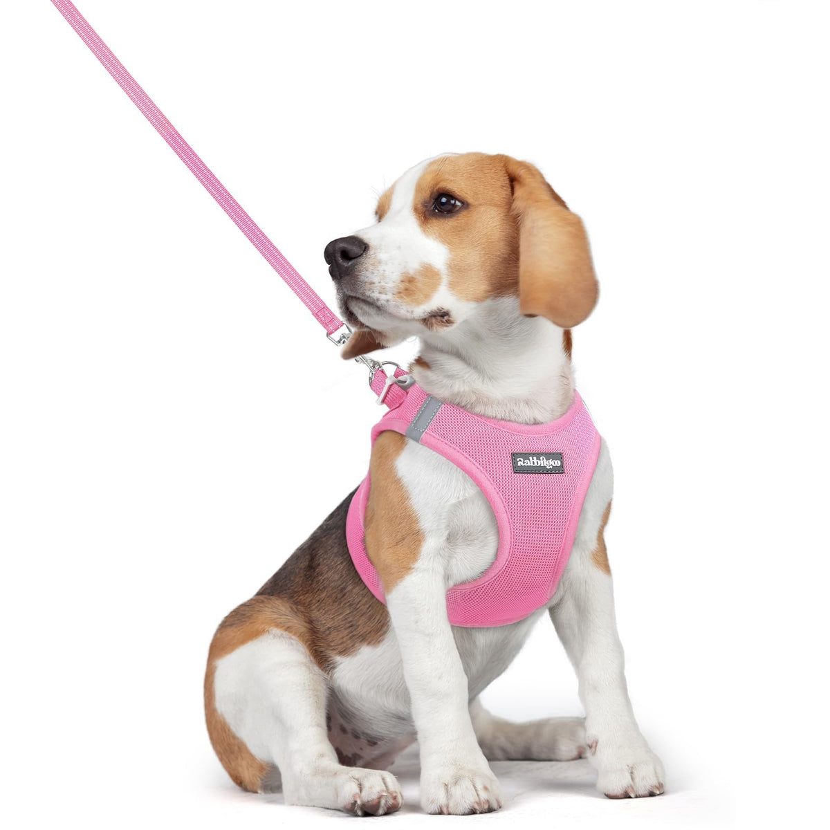 Dog Harness Medium Sized and Leash Set (Light Pink / L (chest: 18.2 - 20.5"))