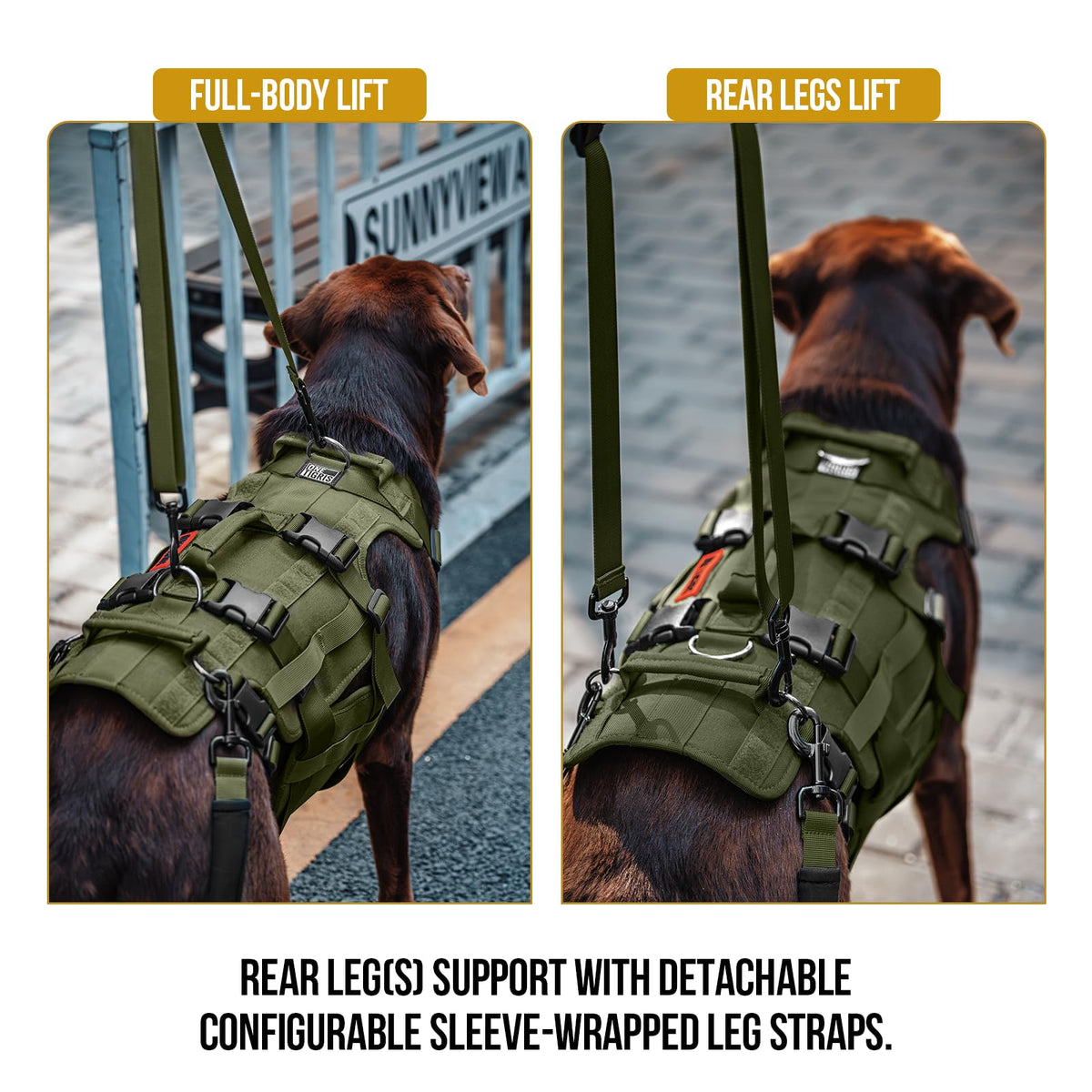 Dog Lift Harness for Large Dogs (Green / L)