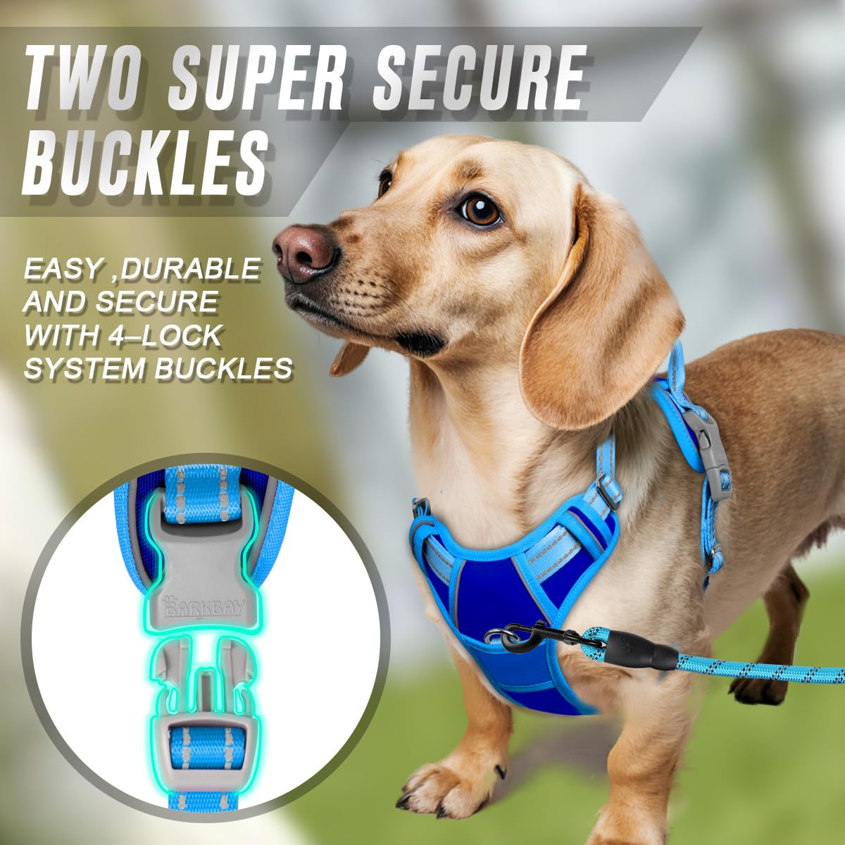 Dog Harness No Pull for Small Sized Dog Front Back Clips (X-Small(Chest:15.5-19.5”) / Sapphire Blue & Blue)