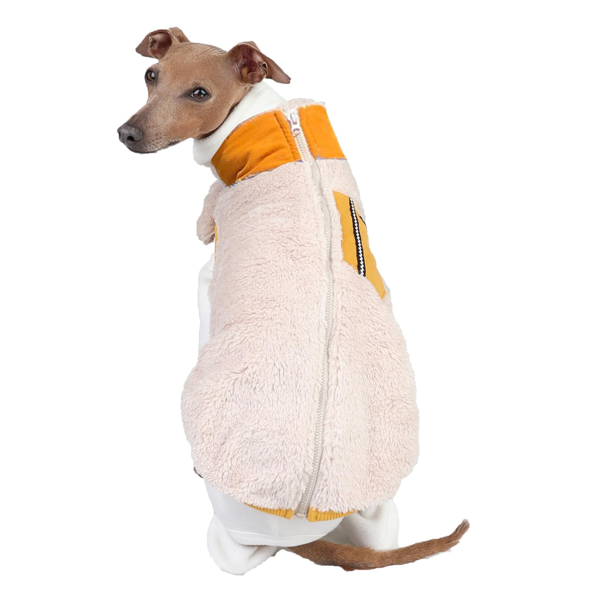 D Doggy Star Italian Greyhound Warm Fleece Zip (L / Zipup Mustard)