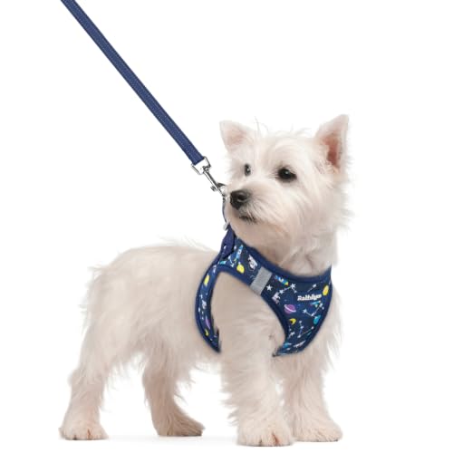 Dog Harness Small Sized and Leash Set (Navy Space Pups / S (chest: 15.1 - 16.5"))