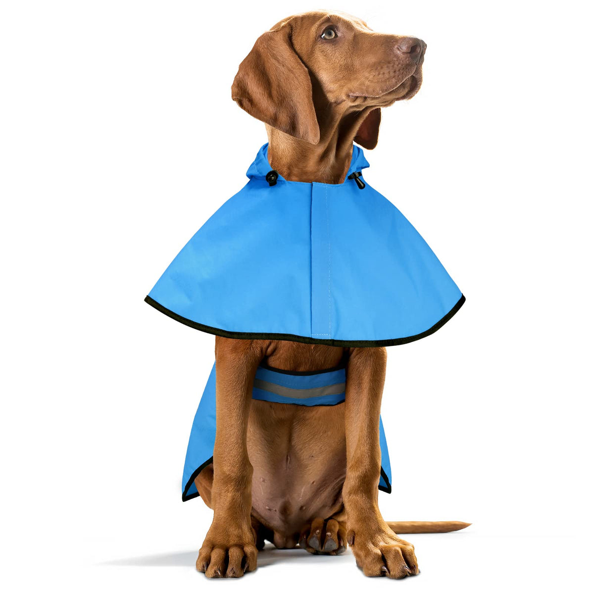 Dog Raincoat Waterproof Dog Rain Jacket with Leash Hole (Small / Blue)