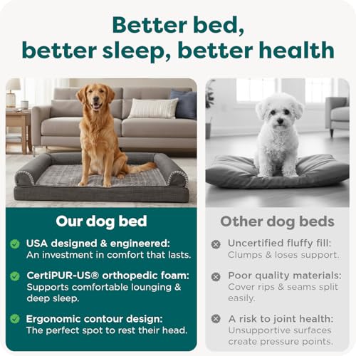 Orthopedic Dog Bed for Large Dogs w (Jumbo / Charcoal)