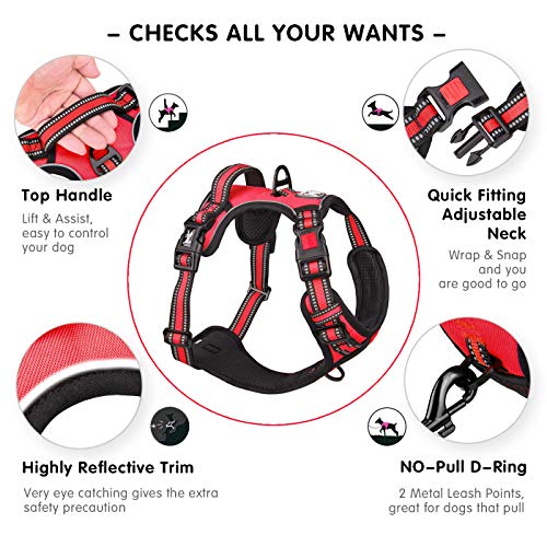 Dog Harness Large (L / Red)