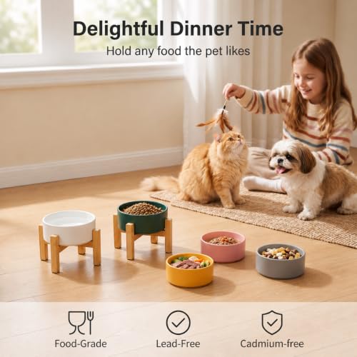Raised Dog Bowl (Small / Yellow)