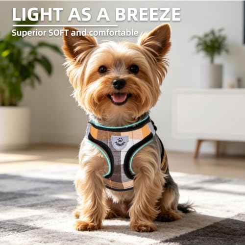 Dog Harness Collar and Leash Set No Pull for Small Medium Sized (Orange / XS (CHEST 13"-14.5"))