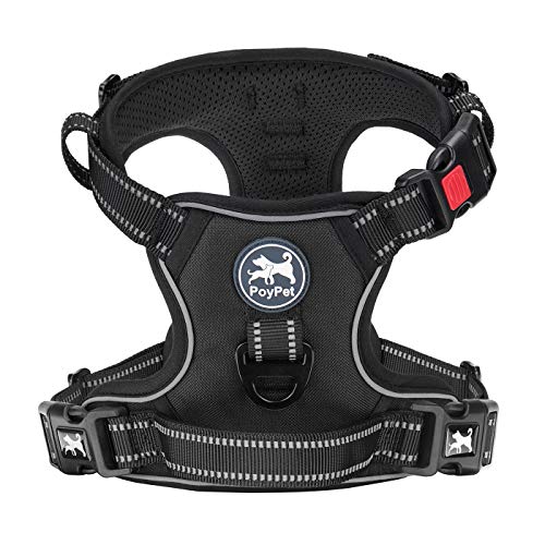 Dog Harness Small (XS / Black)