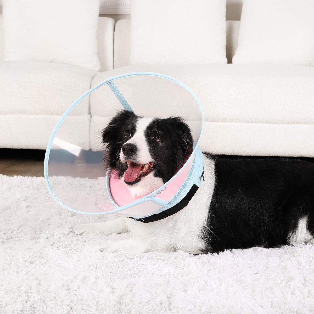Sponge Core Dog Cone (Pink / Size 2(Neck: 8.7"- 10.7"))