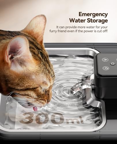 Cat Water Fountain Wireless + 6 Filters