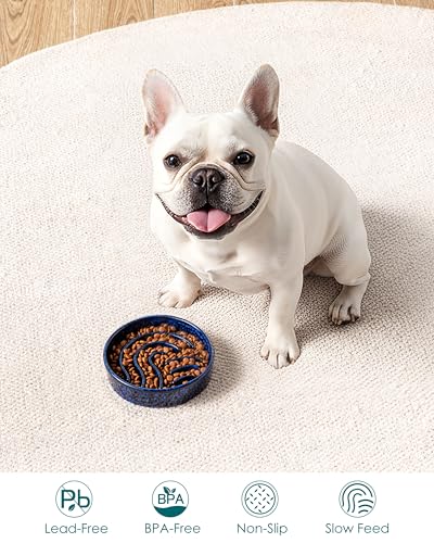 Slow Feeder Dog Bowl (Blue / 0.6 Cups)