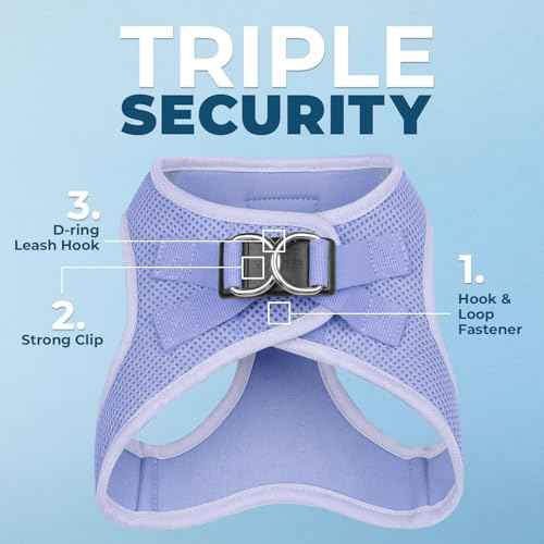 Voyager Step in Air All Weather Mesh Harness and Reflective Dog 5ft Leash Combo with Neoprene Handle (Lavender / S (Chest: 14.5 - 16"))