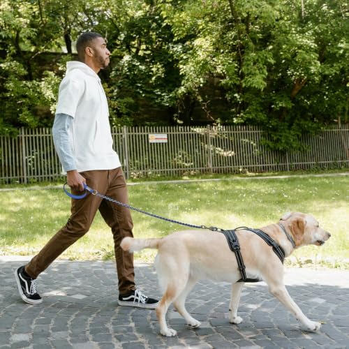 Chain Dog Leash (Blue / 7.25FT(80-200lb))