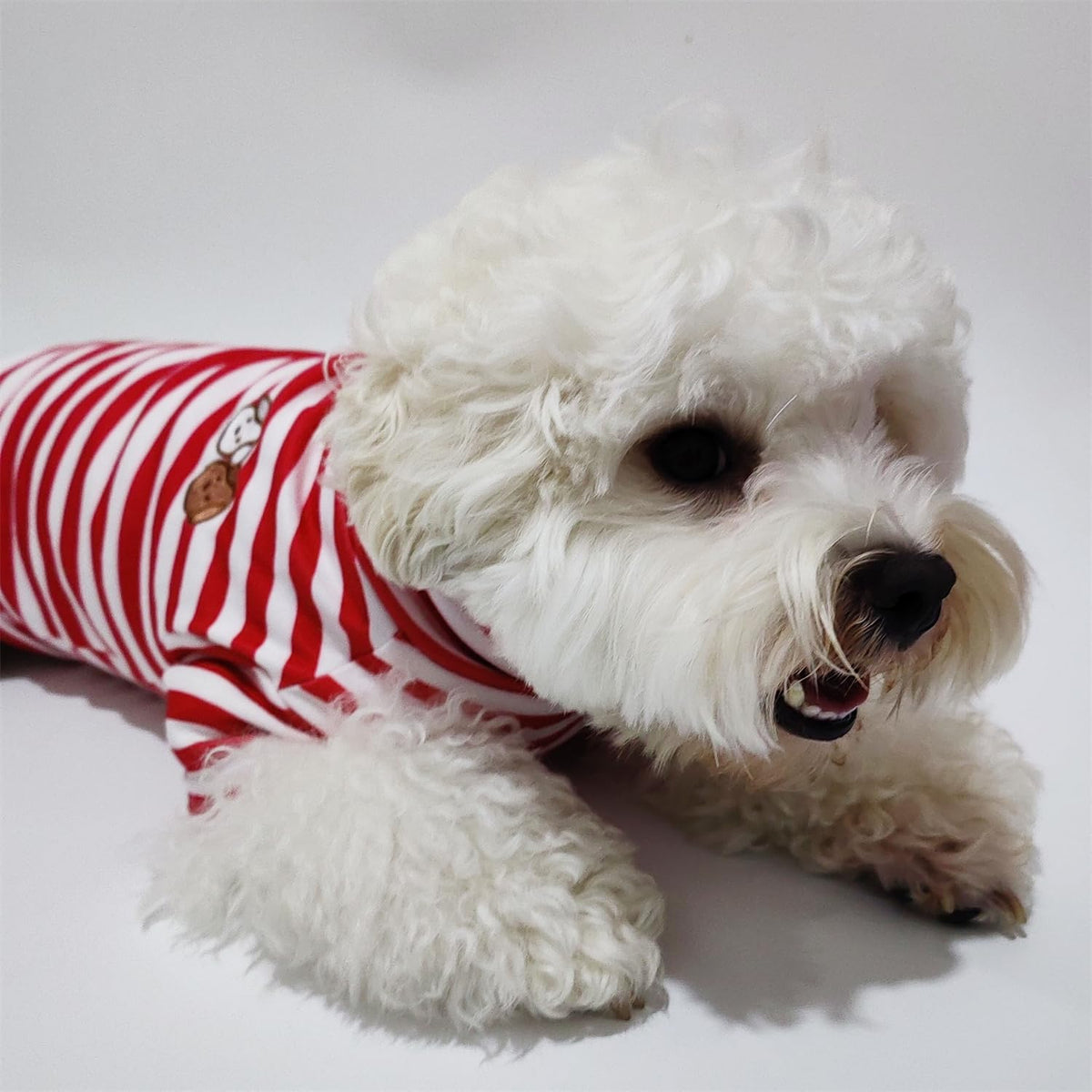 Turtleneck Dog Shirt Cute Doggie Embroidery Super Soft Dog Sweatshirt Stretchy Striped Puppy Pullover for Cats Small Medium Large Dogs (Red Striped / Small)