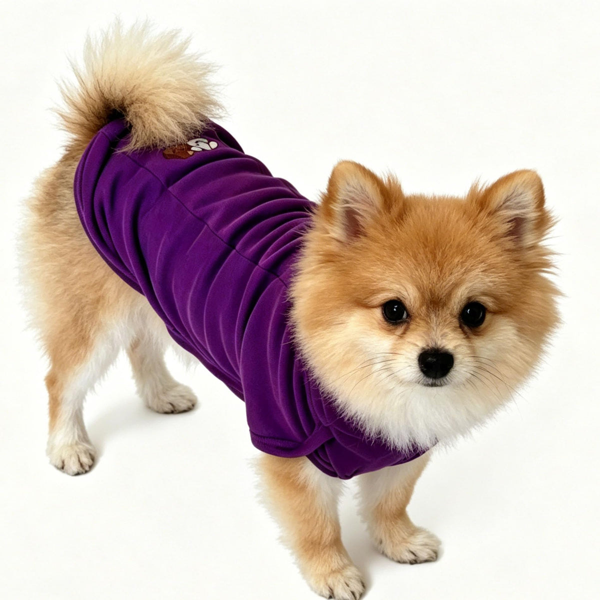 Turtleneck Dog Shirt Embroidery Soft Dog Sweatshirt Stretchy Striped Puppy Pullover (Pur SLS / X-Small)