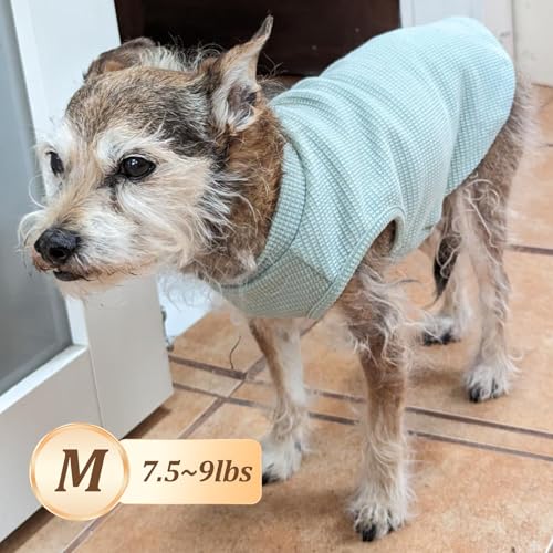 2Pack Waffle Dog Shirt for Small Dogs Striped Dog Sweater Tank Top (Medium (7-11lbs) / 2Pack(Blue+Grey))