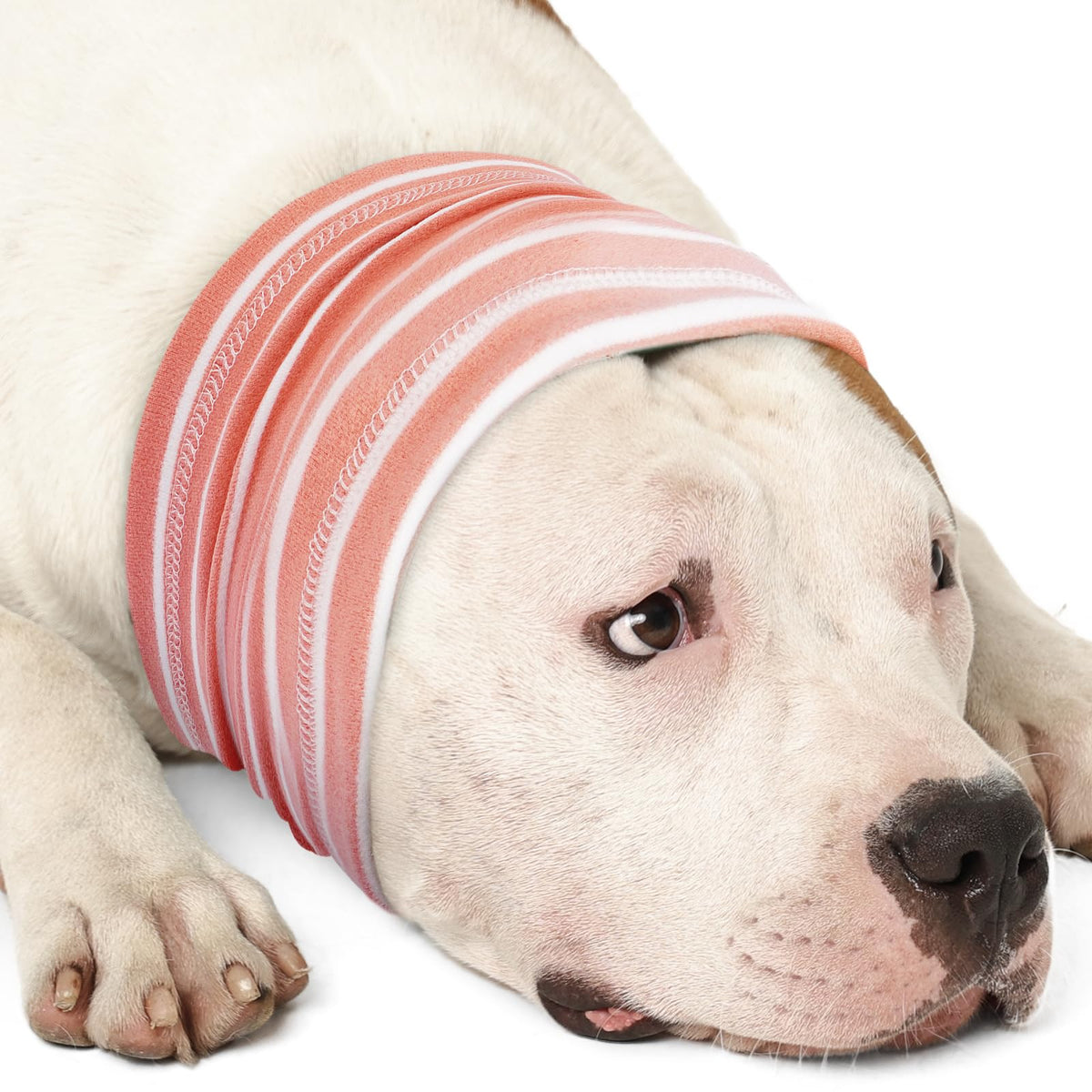 Calming Hoodie Dog Grooming Ear Cover Anxiety Relief (XL(Head Girth: 17.7in-29.5in) / PinkStriped)