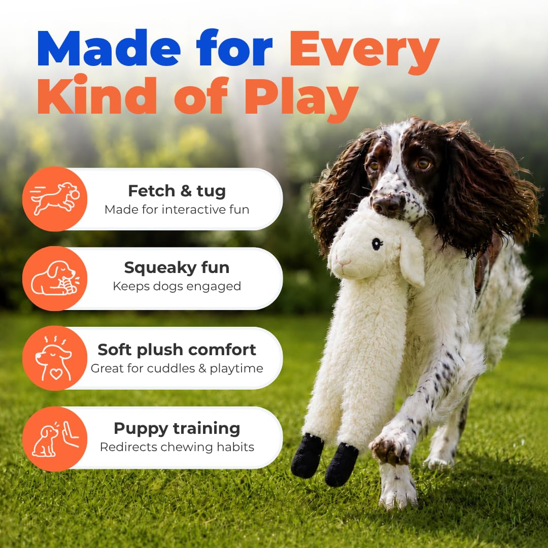 2-in-1 Stuffless Squeaky Dog Toy - Sheep, Medium (Grey/Sheep / Medium)