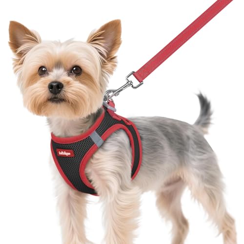 Dog Harness Small Sized and Leash Set (Black & Red / XS (Chest: 13.3"-15.5"))
