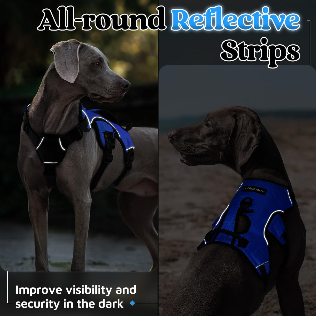 Escape Proof Dog Harness for X (Blue / X-Large)