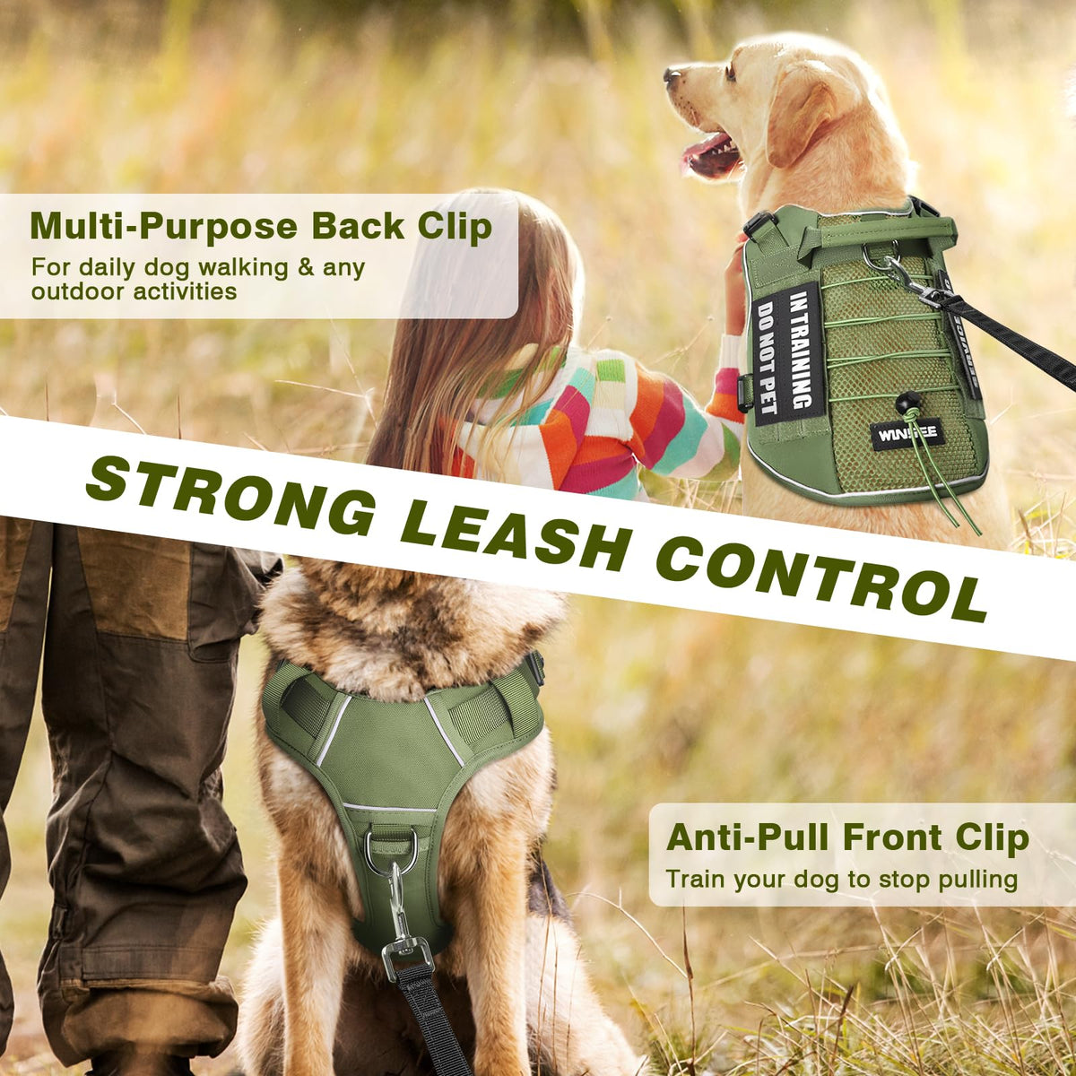 Service Dog in Training Mesh Harness with 10 Removale Pet Patches (X-Large / Green)