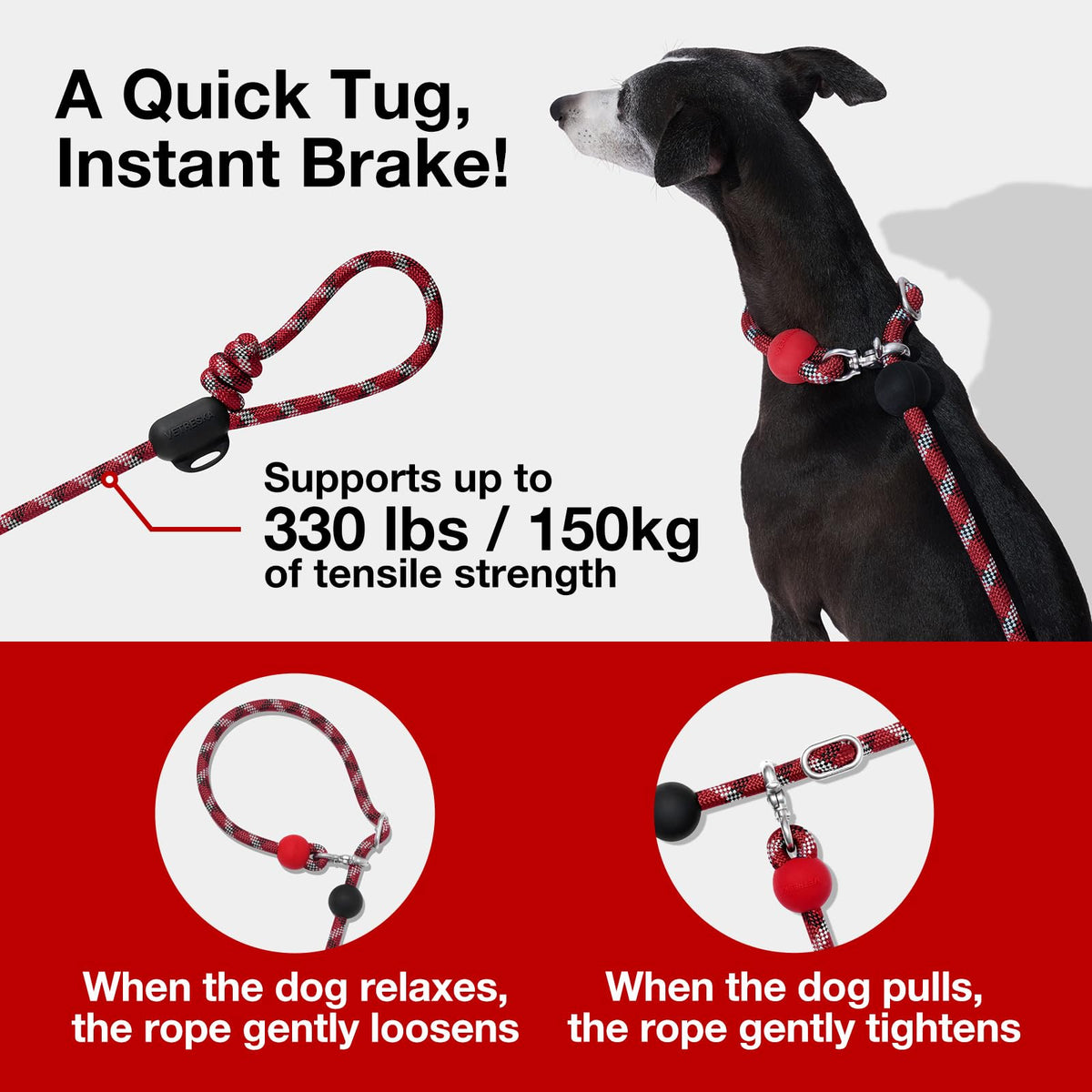 Hands Free Red Dog Leash (Circuit Red)