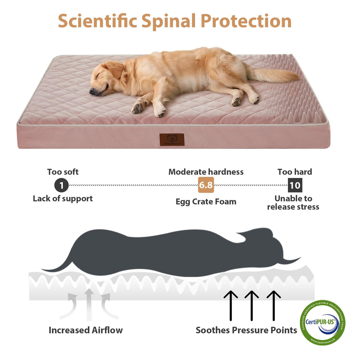 Orthopedic Waterproof Extra Large Senior Dogs Bed for Comfy Sleep (Pink / 42"L x 30"W x 4"Th)