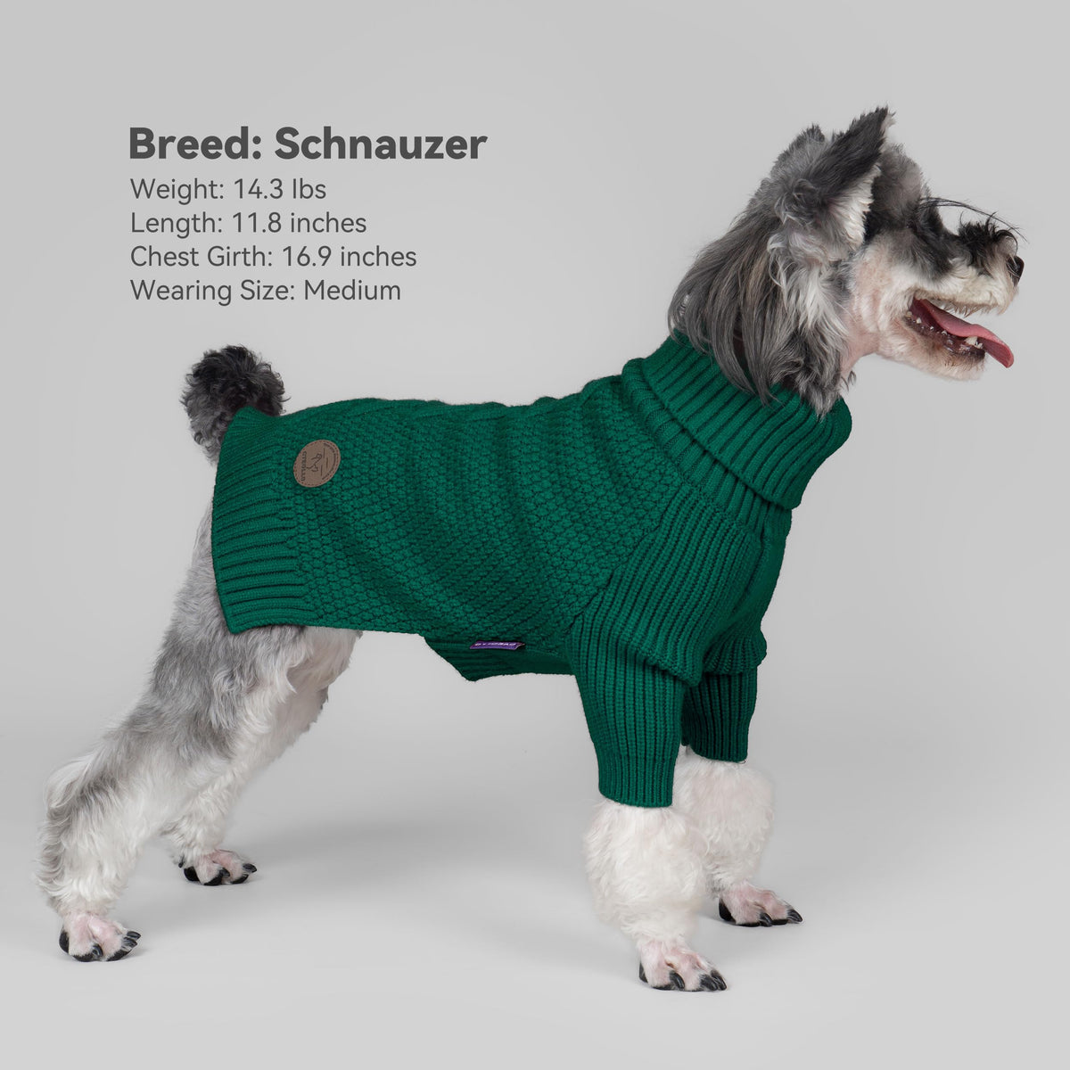 Dog Sweater Long Sleeve Warm Sweaters for Small Dogs Boy Girl Cats (Green / Small)
