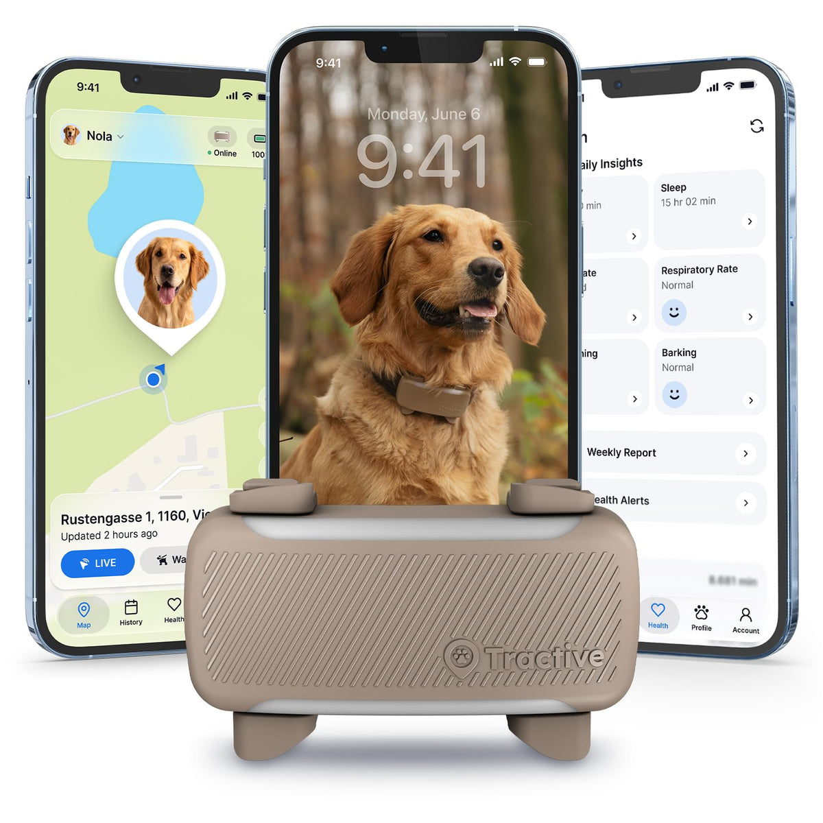 XL Smart Dog GPS Tracker (Brown)