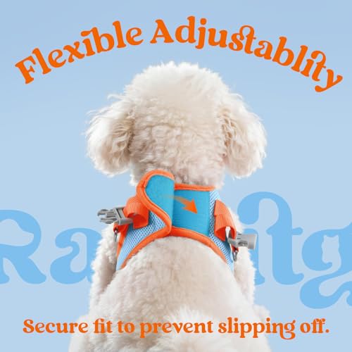 Dog Harness Small Sized and Leash Set (Blue & Orange / L (Chest: 18.2"-20.5"))