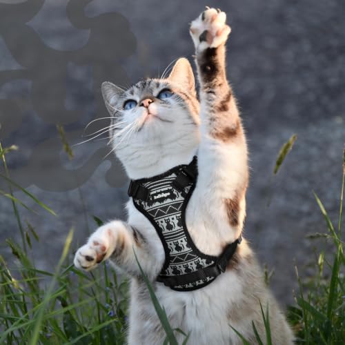 Cat Harness and Leash Set (Xs / Pixel Tabby)