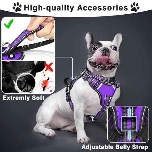 Pet Harness Collar and Leash Set (Small / Purple)