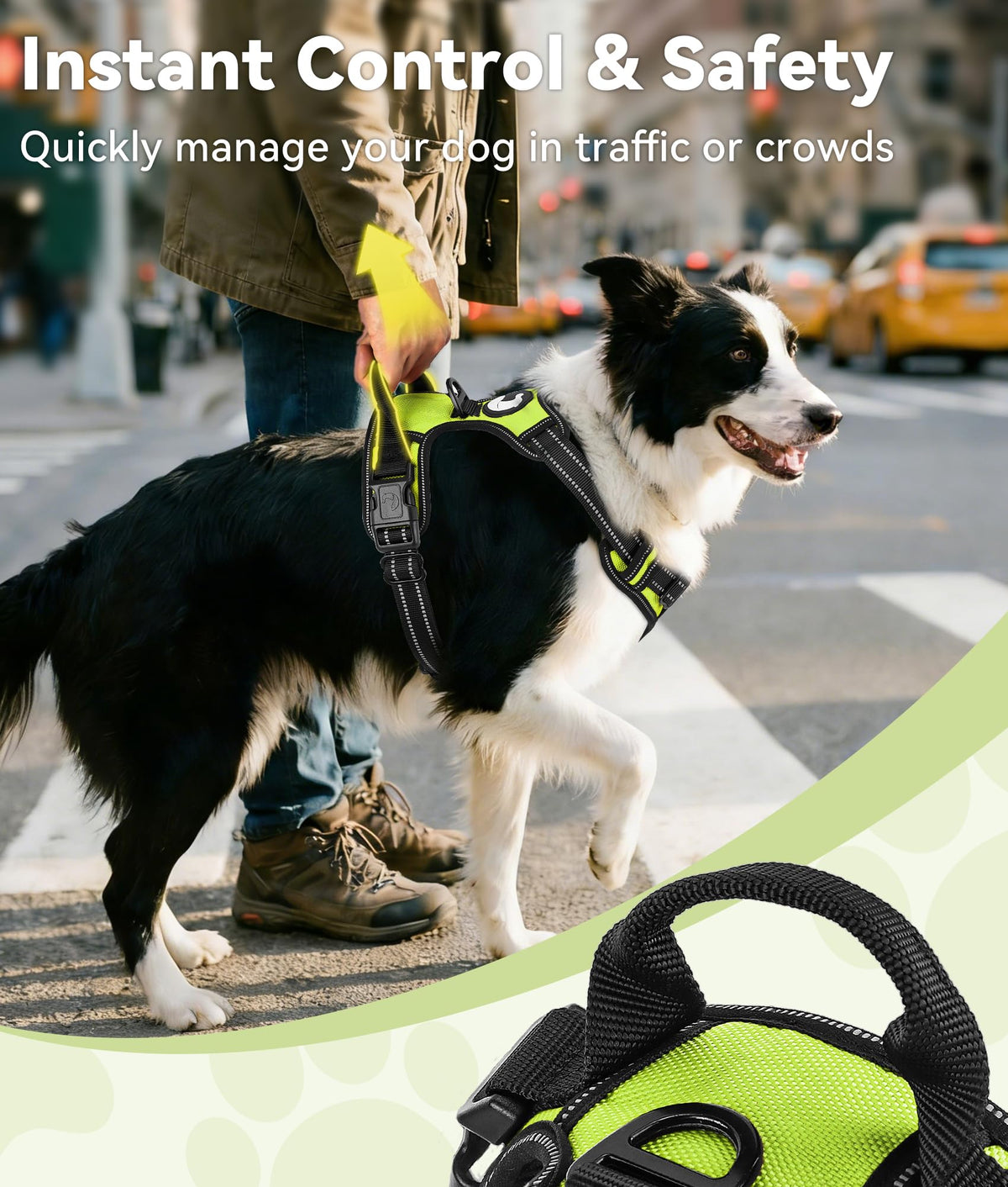 No Pull Dog Harness for Large Dogs (Large / Green)