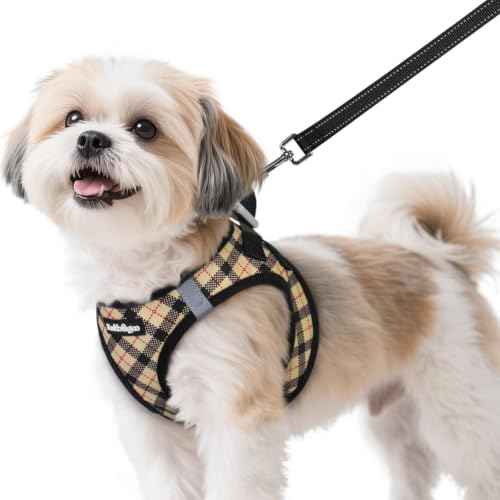 Dog Harness Small Sized and Leash Set (Beige Plaid / S (Chest: 15.1"-16.5"))