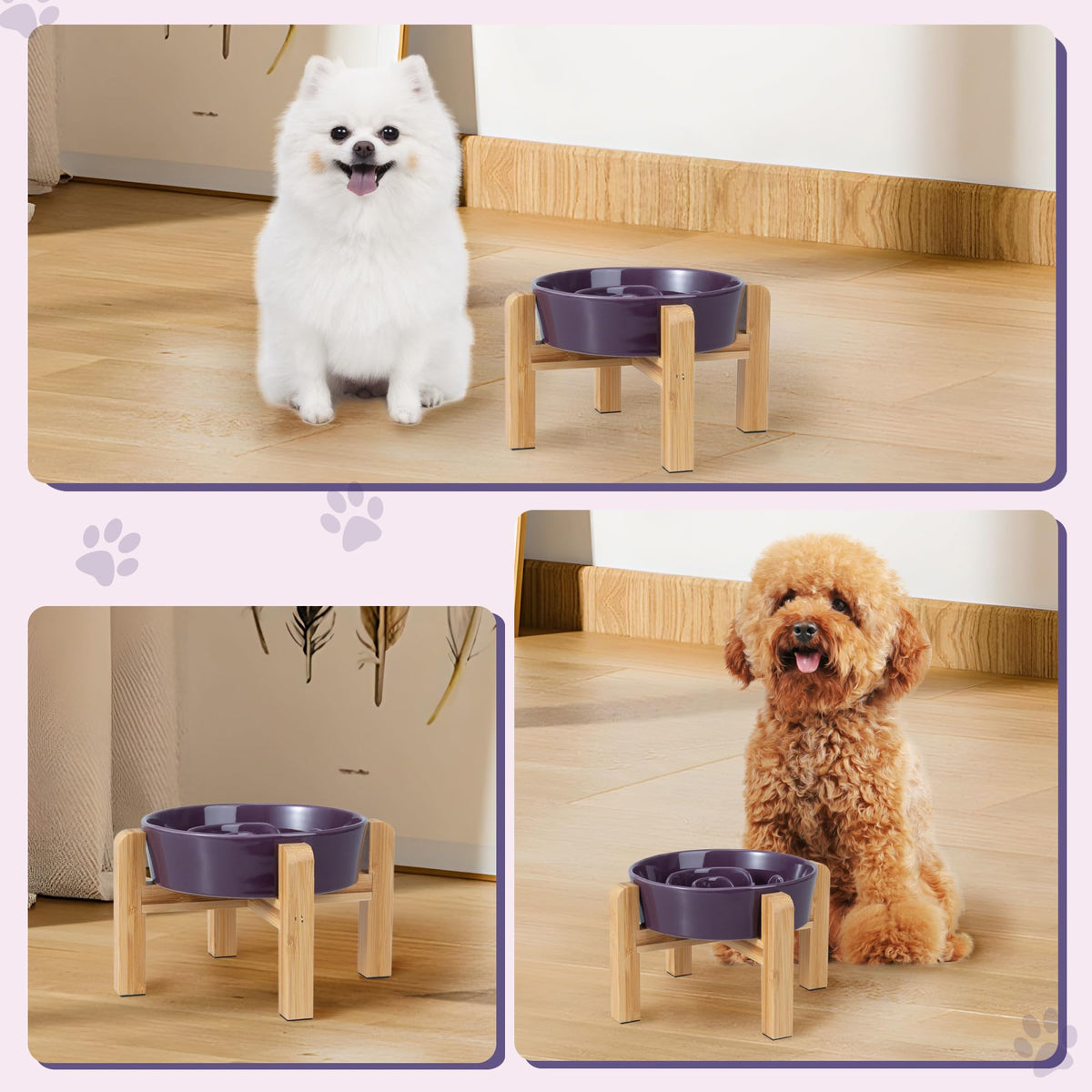 Elevated Slow Feeder Dog Bowl (Purple / 1.5 Cups)