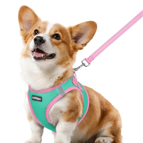 Dog Harness Small Sized and Leash Set (Teal & Pink / L (Chest: 18.2"-20.5"))