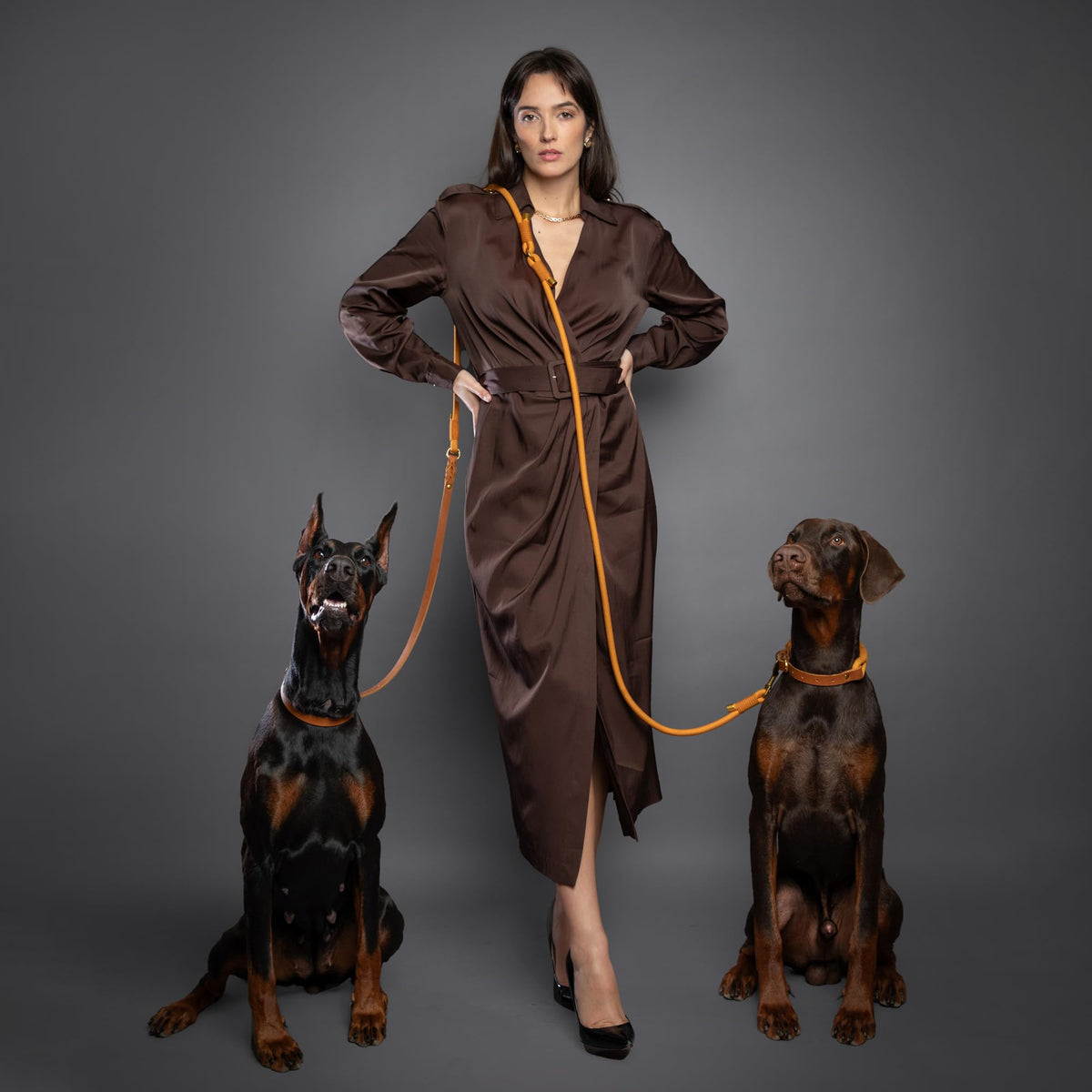 Hands Free Dog Leash (Camel)