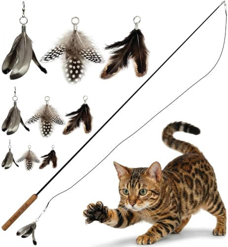 Forever Stick Cat Wand Toy with 9 Feather Refills (Forever Stick and 9 Feather Toys)