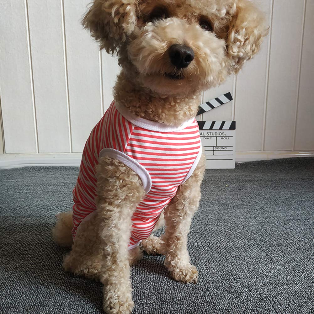 Dog’s Recovery Suit Post Surgery Shirt for Puppy (X-Small / red white stripe)
