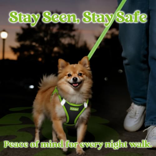 Dog Harness Small Sized and Leash Set (Black & Green / M (Chest: 16.0"-18.5"))