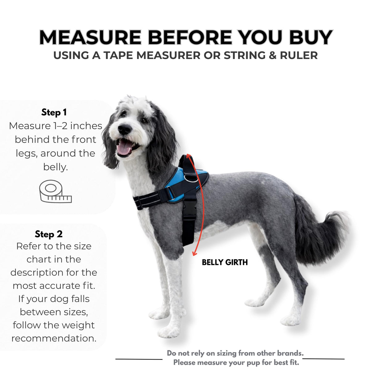Essential Dog Harness (Cotton Candy / Small)